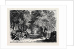 Sir Roger De Coverley with the Gipsies by Anonymous