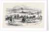 Near the Course, Newmarket by Anonymous