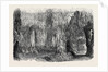 Stalactite Grotto by Anonymous