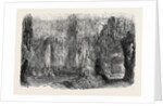 Stalactite Grotto by Anonymous
