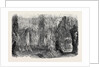 Stalactite Grotto by Anonymous