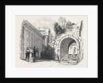 Temple of Apollo Epicurus by Anonymous