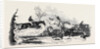 The Harrow Steeple Chase, the Fall at the Brook by Anonymous
