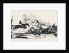 The Harrow Steeple Chase, the Fall at the Brook by Anonymous
