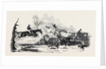 The Harrow Steeple Chase, the Fall at the Brook by Anonymous
