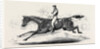 The Harrow Steeple Chase, the Last Brook by Anonymous