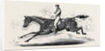 The Harrow Steeple Chase, the Last Brook by Anonymous
