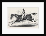 The Harrow Steeple Chase, the Last Brook by Anonymous