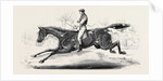 The Harrow Steeple Chase, the Last Brook by Anonymous