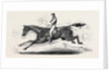 The Harrow Steeple Chase, the Last Brook by Anonymous
