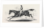 The Harrow Steeple Chase, the Last Brook by Anonymous