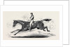 The Harrow Steeple Chase, the Last Brook by Anonymous