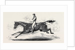 The Harrow Steeple Chase, the Last Brook by Anonymous
