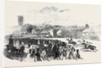 Warwick Races. by Anonymous