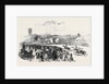 Warwick Races. by Anonymous