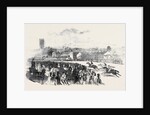 Warwick Races. by Anonymous