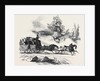 Travelling in the South and West of Ireland in 1845 by Anonymous