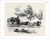 Travelling in the South and West of Ireland in 1845 by Anonymous
