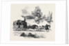 Travelling in the South and West of Ireland in 1845 by Anonymous