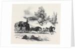Travelling in the South and West of Ireland in 1845 by Anonymous