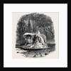 Frozen Fountain, Bowling Green, New York. by Anonymous