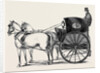 The New Curricle Tribus. by Anonymous