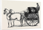 The New Curricle Tribus. by Anonymous