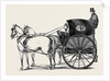 The New Curricle Tribus. by Anonymous