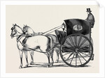 The New Curricle Tribus. by Anonymous