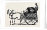 The New Curricle Tribus. by Anonymous