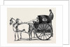 The New Curricle Tribus. by Anonymous