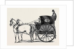The New Curricle Tribus. by Anonymous