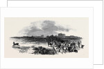 Easter Hunt with the Royal Stag Hounds, the Meet at Stoke Common by Anonymous