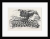 The Viennese Children, at Her Majesty's Theatre. by Anonymous