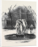 Ice Tree, Middle Temple. by Anonymous