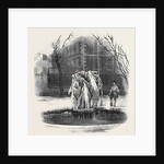 Ice Tree, Middle Temple. by Anonymous