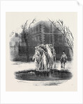 Ice Tree, Middle Temple. by Anonymous