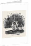 Ice Tree, Middle Temple. by Anonymous