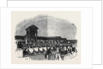 The Queen's Visit to the Duke of Buckingham, County Meeting at Aylesbury, to Address Her Majesty by Anonymous
