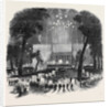 Great Native Meeting in the Park, at New York. by Anonymous