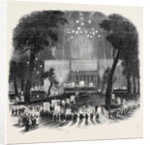 Great Native Meeting in the Park, at New York. by Anonymous