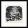 Great Native Meeting in the Park, at New York. by Anonymous