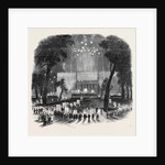 Great Native Meeting in the Park, at New York. by Anonymous