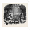 Great Native Meeting in the Park, at New York. by Anonymous