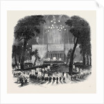 Great Native Meeting in the Park, at New York. by Anonymous