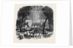 Great Native Meeting in the Park, at New York. by Anonymous