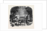 Great Native Meeting in the Park, at New York. by Anonymous