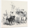 The Duke of Wellington Meeting the Queen by Anonymous