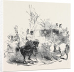 The Duke of Wellington Meeting the Queen by Anonymous