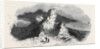 Serk, the Coupee Rock. by Anonymous